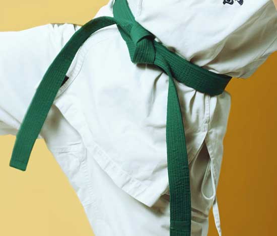 What belts are in taekwondo WTF?