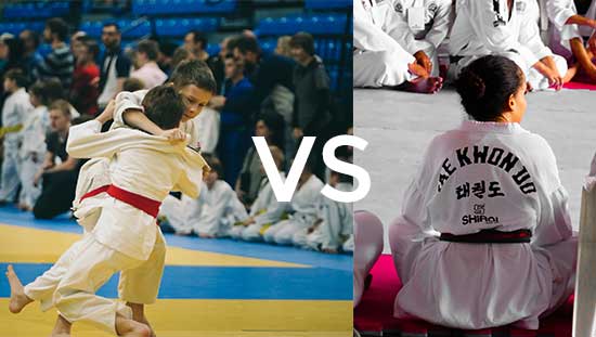 Judo vs Taekwondo. What to choose?