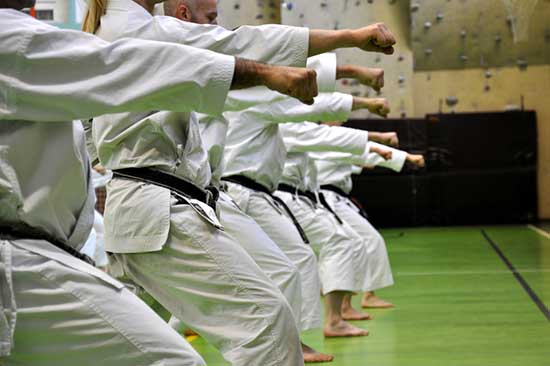 Kenpo karate vs Shotokan