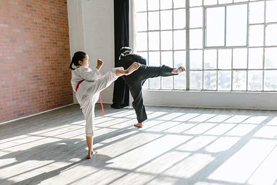 Kenpo vs Kyokushin. What differs?