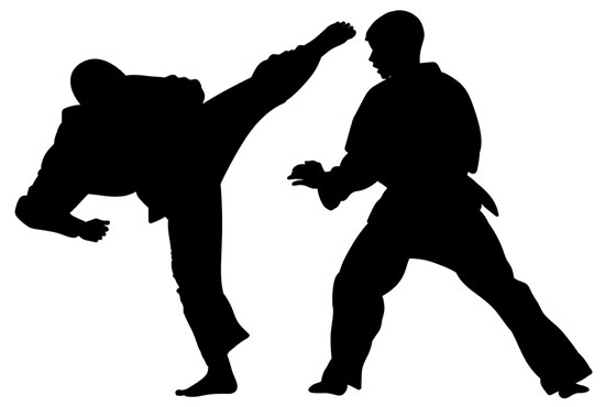 Goju Ryu vs. Kyokushin karate
