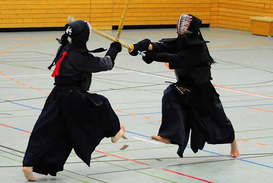 Kendo vs. Hema differences