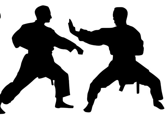 Wado Ryu vs. Goju Ryu karate