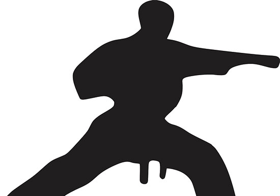 Shito Ryu karate kata name list