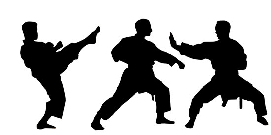  Uechi Ryu vs. Kyokushin karate