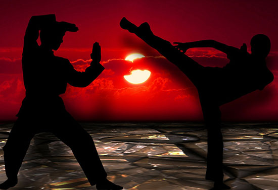 Wing Chun vs. Kyokushin. Differences and Similarities
