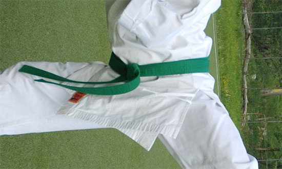 What does the green belt in judo mean