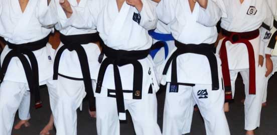 Korean Tang Soo do belt rank system