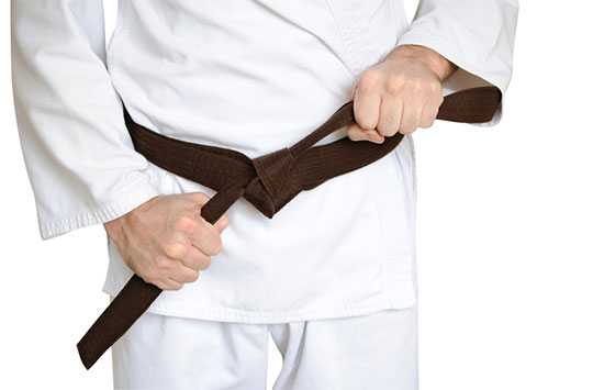 Explaining the brown belt in Taekwondo