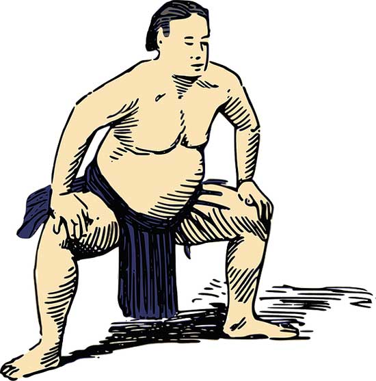Do sumo wrestlers have to be fat? Not exactly