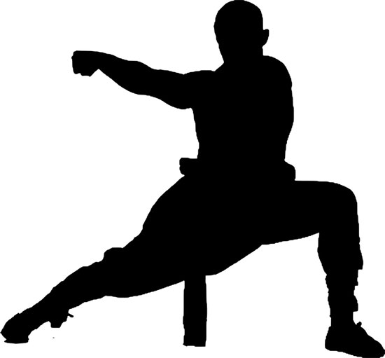Kung Fu vs. Aikido