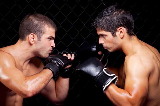Vale Tudo vs MMA. The Battle of the Martial Arts
