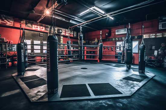 Best MMA Gyms in Tampa