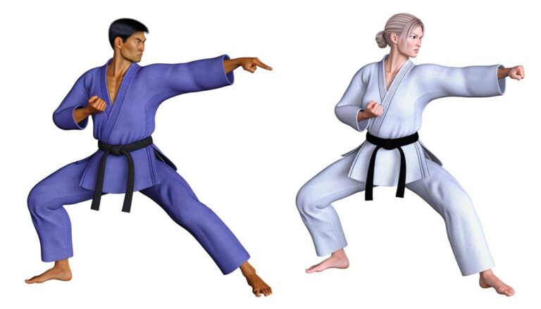 Shorin Ryu Vs Shotokan Comparison
